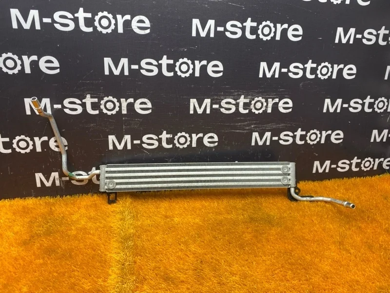 Радиатор ГУР Bmw 5-Series 2006 17217519215 E60 N52B25A