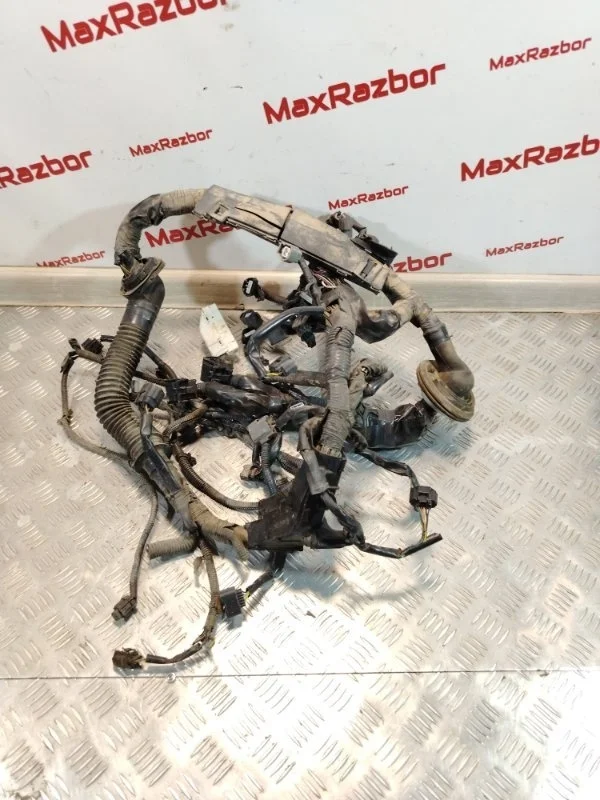 Проводка подкапотная Infiniti Fx 37 2009 240331CA0A S51 VQ37VHR