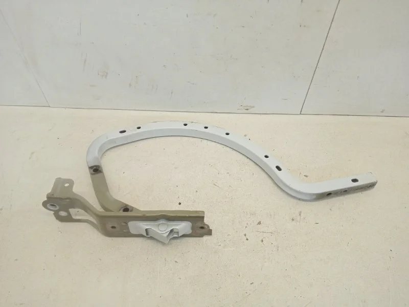 Петля крышки багажника Toyota Camry 2018-2021 6451033181 XV70, задняя правая
