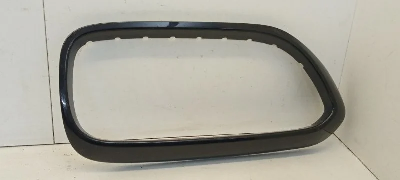 Накладка решетки радиатора Bmw 5 Series 2009-2017 51137412324 F10/F11, передняя