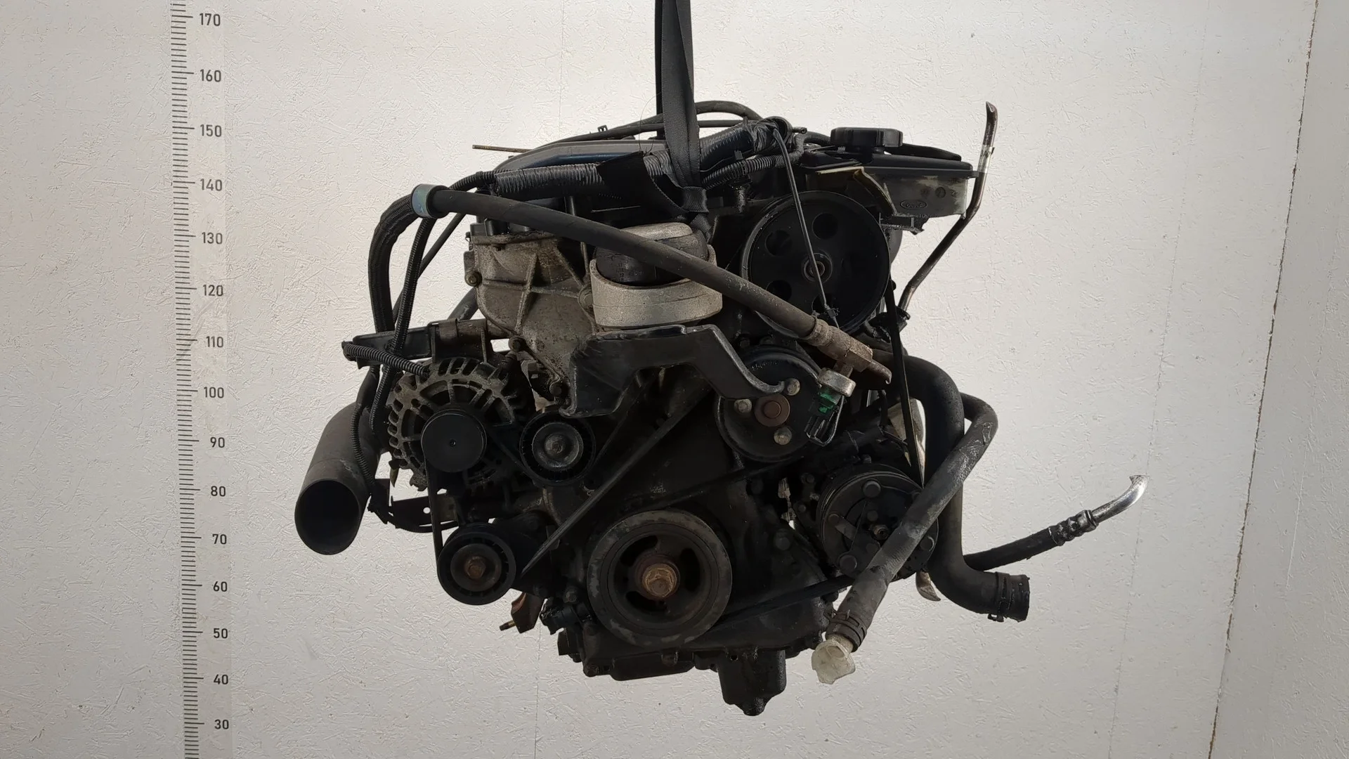 Двигатель Ford Mondeo CHBA, CHBB