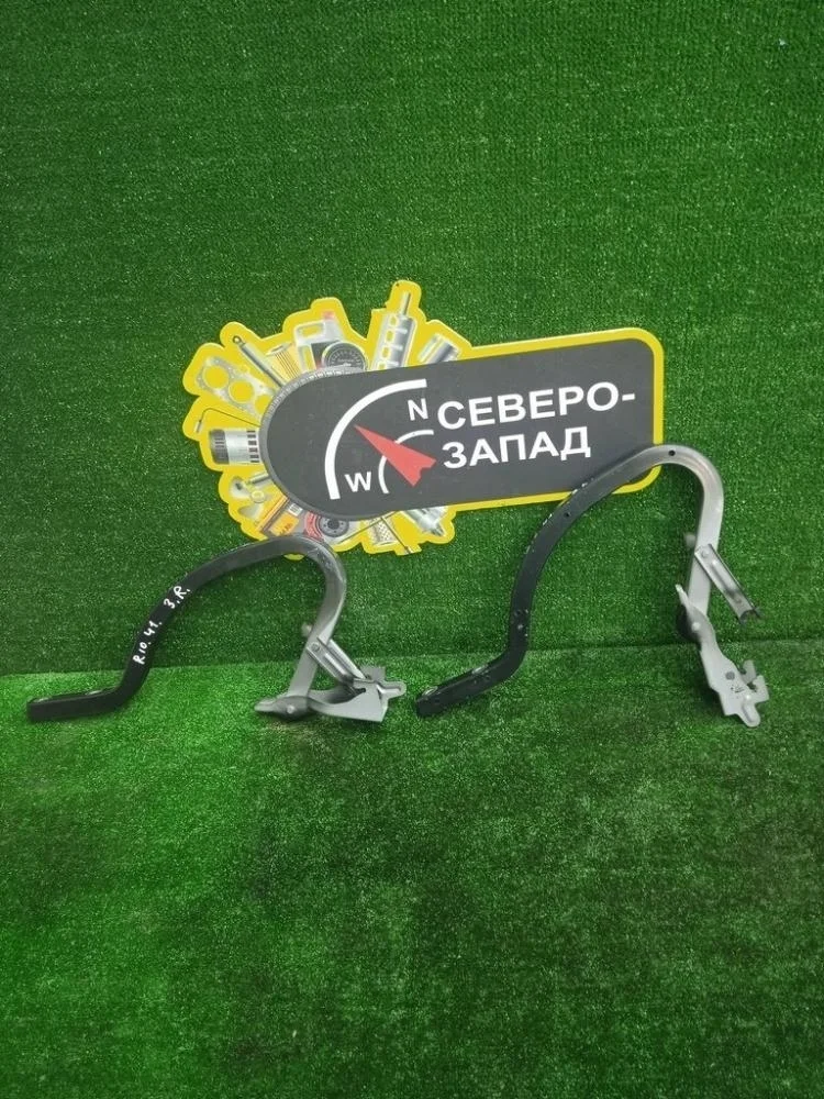 Петля багажника Kia Rio 2019 79220H0000 FB G4FG, правая