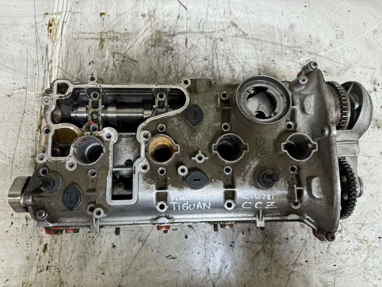 головка блока цилиндров Volkswagen Tiguan