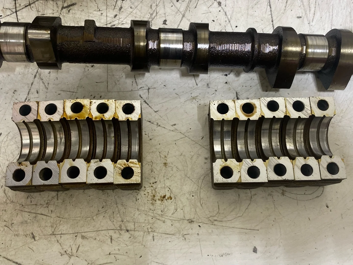 головка блока цилиндров Ford Focus 2