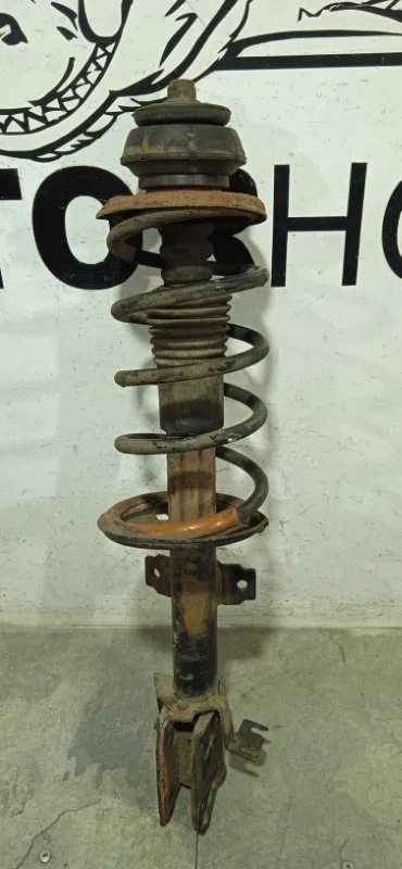 Амортизатор подвески Renault Duster 2010-2020 391015061R, передний