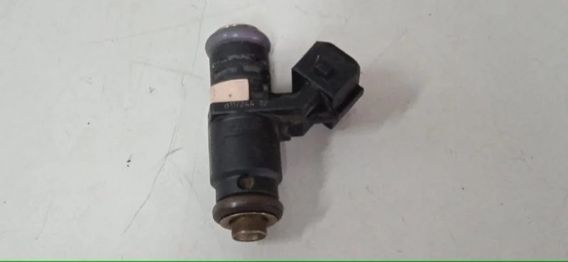 Форсунка топливная Renault Duster 2010-2015 166009398R