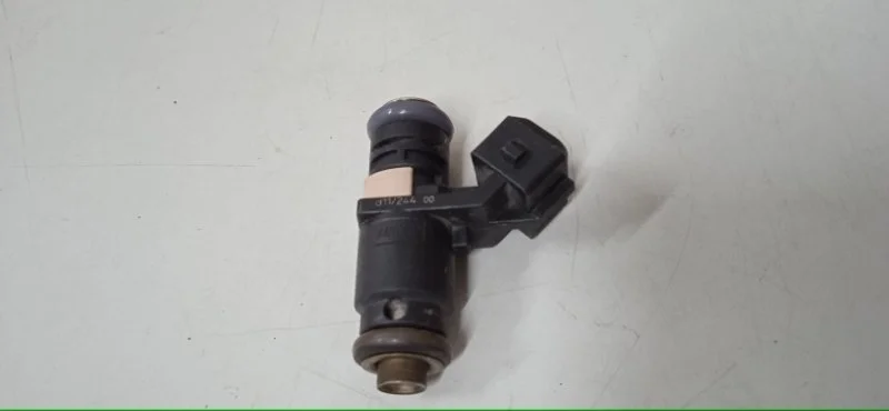 Форсунка топливная Renault Duster 2010-2015 166009398R