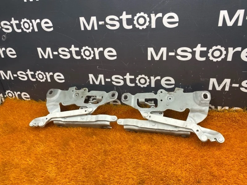 Петля капота Bmw 5-Series 2013 7249888 F10 N47D20C