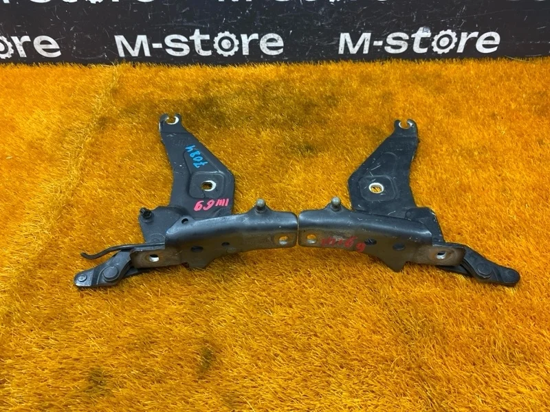 Петля капота Bmw X5 2010 7208628 E70 N55B30A