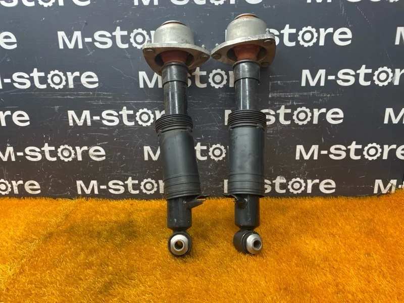 Амортизатор Bmw X5 2010 33526781921 E70 N55B30A, задний