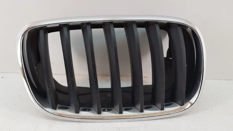 Решетка радиатора Bmw X5 2007-2013 E70 E71