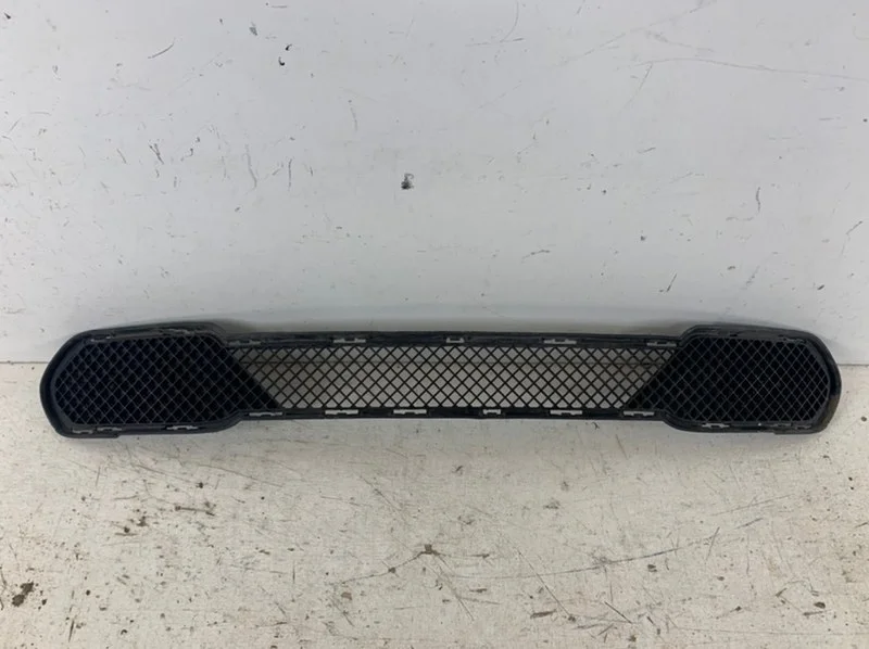 Решетка бампера BMW X1 2009-2015 E84