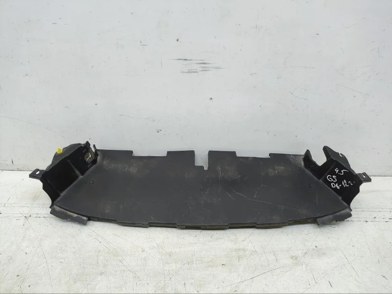 Дефлектор радиатора Lexus GS 2005-2011 3