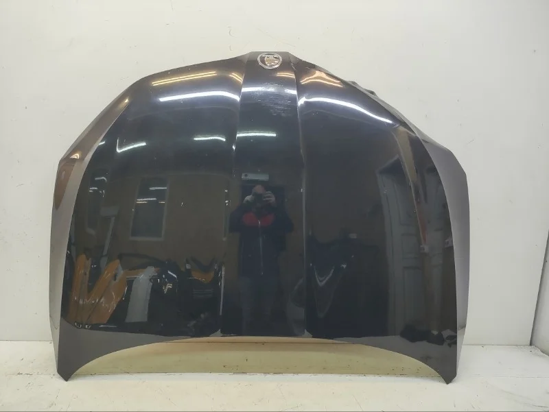 Капот Skoda Octavia 2017-2020 A7 FL