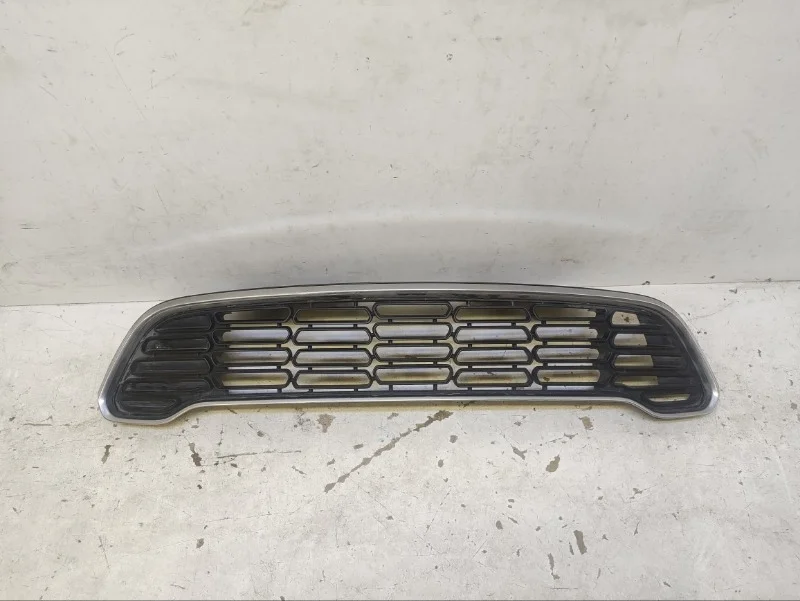Решетка радиатора Mini Countryman 2010-2016 R60