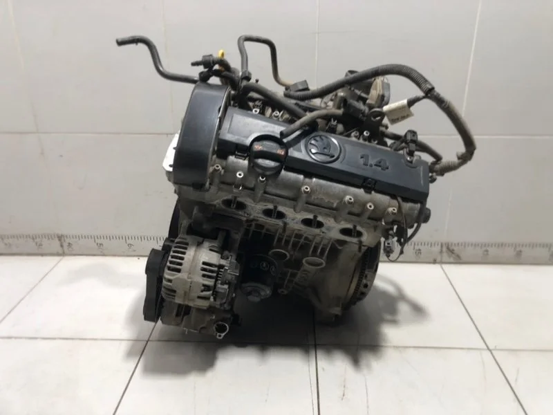 Двигатель Skoda Fabia 2 5J2 ХЭТЧБЕК CGG 2013