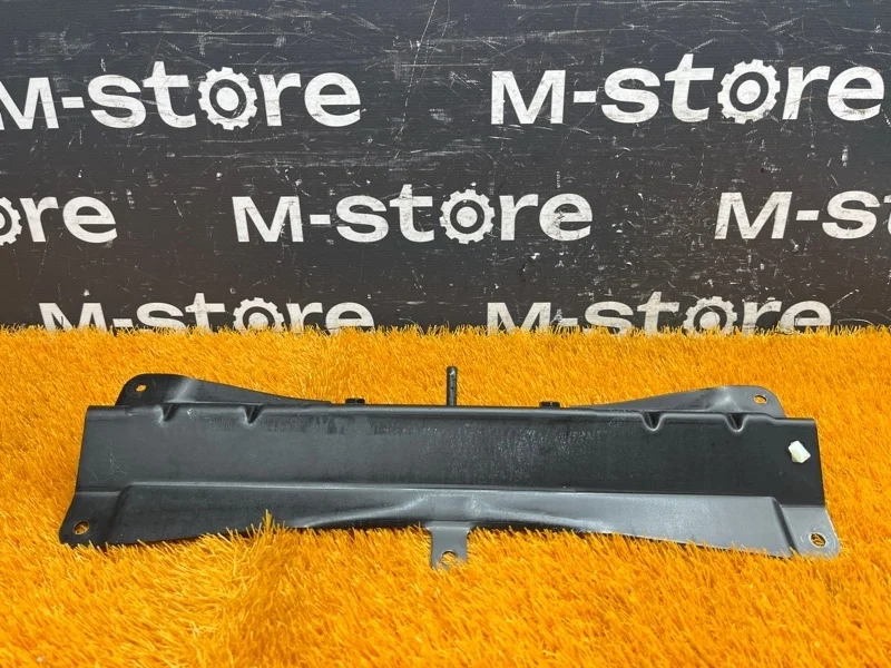 Доводчик крышки багажника Bmw X5 2010 51247233909 E70 N55B30A