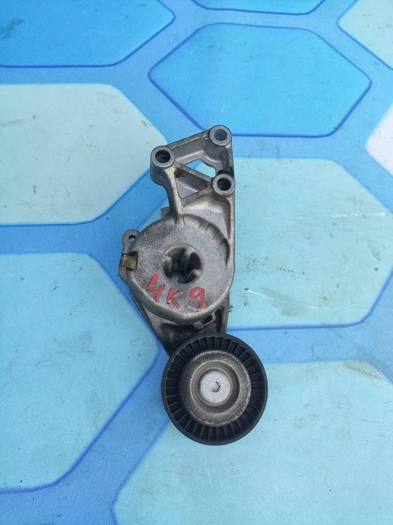 Ролик натяжителя ремня VW Passat 2007 B6