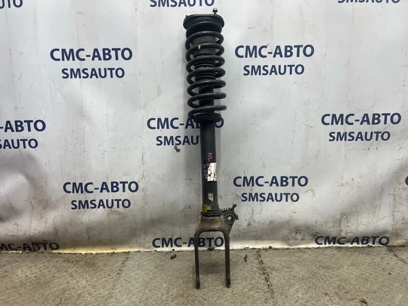 Амортизатор в сборе Mercedes-Benz Ml A1643200130 W164 642.820, передний