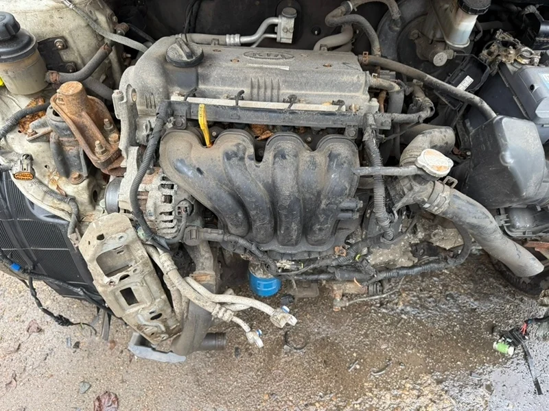 Двигатель Kia Rio 2012 211012BW02 3 1.6 G4FC MT