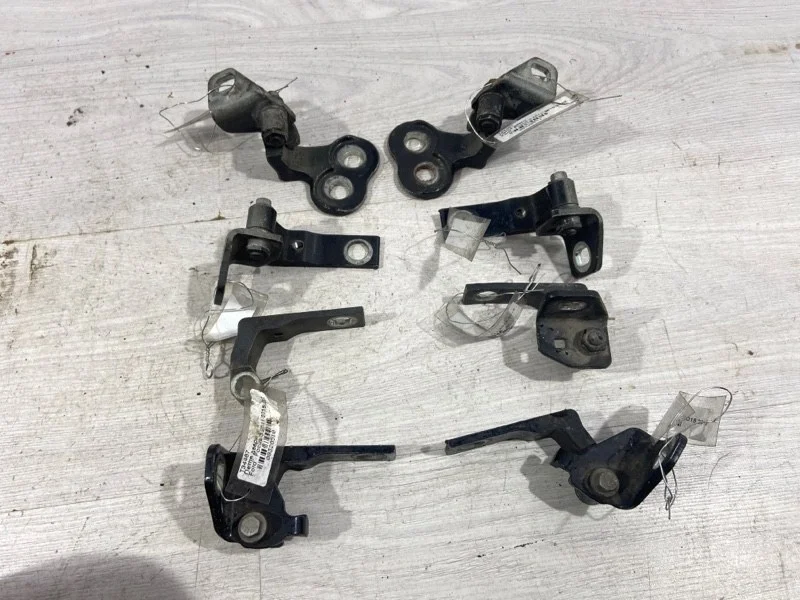 Петля двери Ford Focus 3 (11-14) ХЭТЧБЕК 2.0L