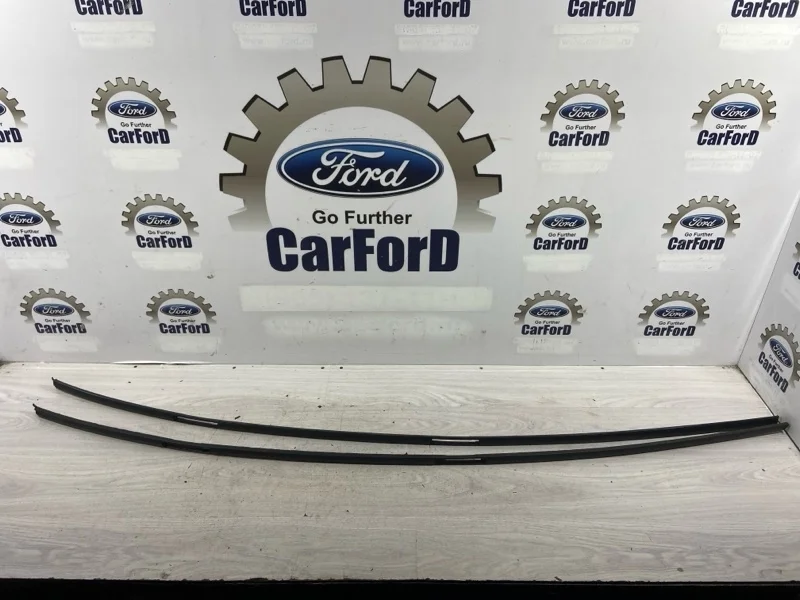 Молдинг крыши Ford S-MAX (06-15) SAV 2.0L