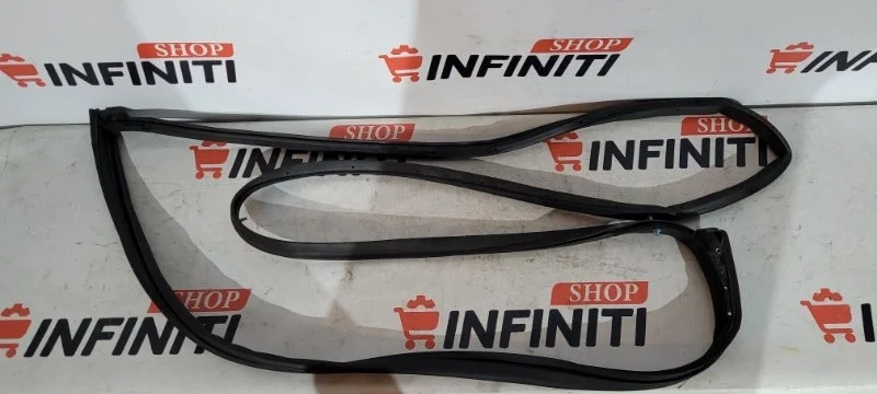 Резинка двери уплотнительная передняя левая NISSAN