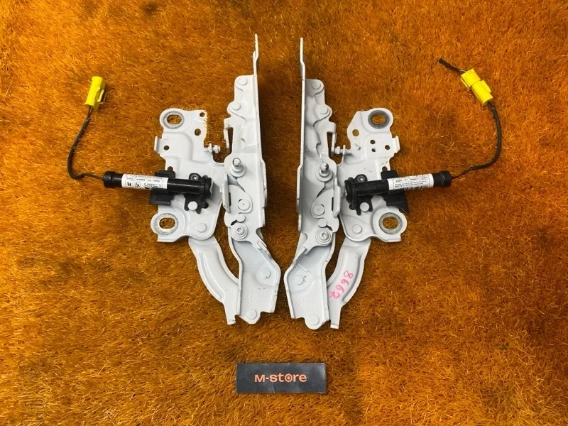 Петля капота Bmw 3-Series 2019 7450589 G20 B48B20A