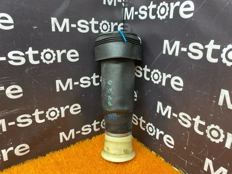 Пневмоподушка Bmw X5 2008 37126790079 E70 N52B30A, задняя