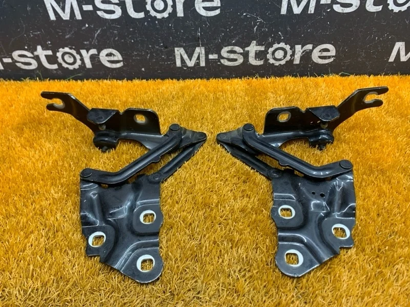 Петля капота Bmw X3 2013 7210729 F25 N20B20A