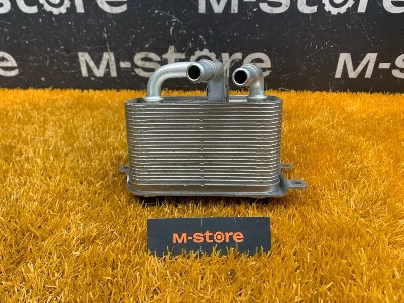 Теплообменник Bmw 5-Series 2005 17217534896 E60 N52B25A