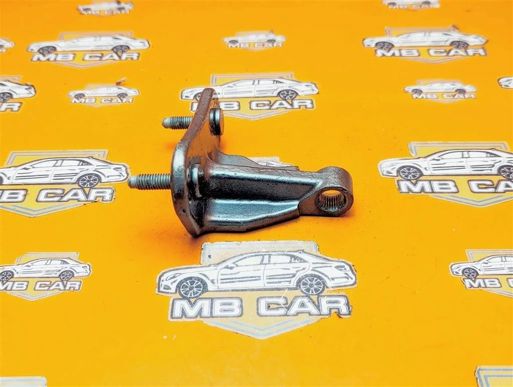 Петля двери Mercedes-Benz