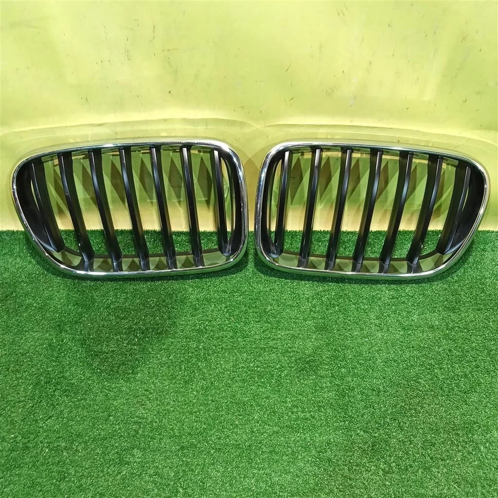 Решетка радиатора  BMW X3 F25 2010 51117210725 8014