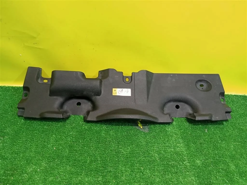 Кожух замка капота  Toyota RAV4 2018 1668125010 21838