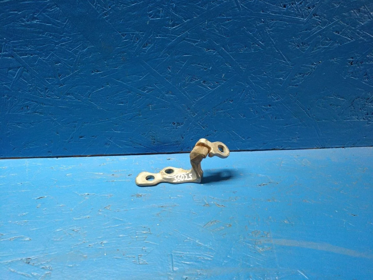 Петля двери передней левой нижняя Ford Focus II рестайлинг (2007—2011)