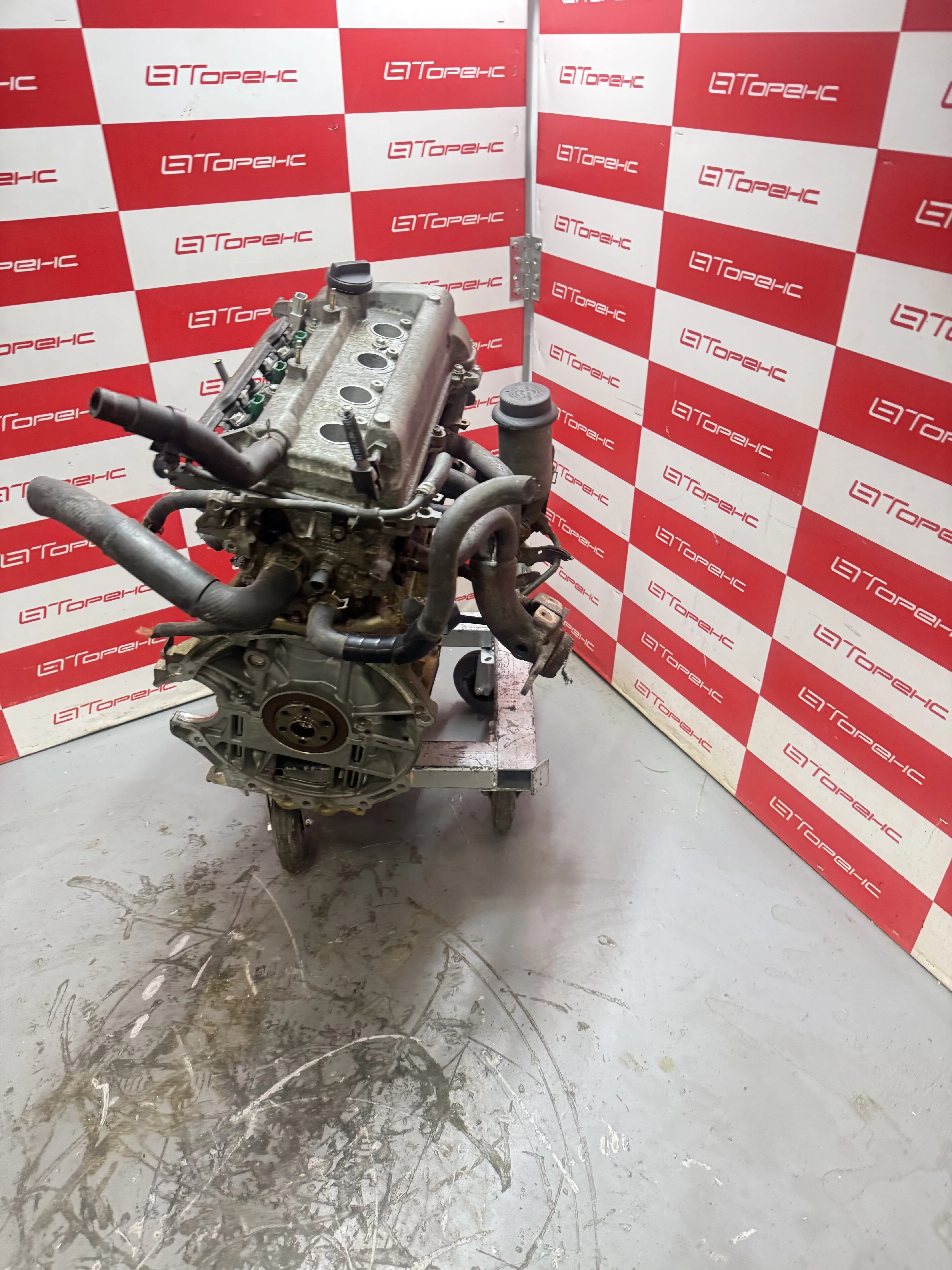 Двигатель TOYOTA ALLEX 1NZ-FE NCP10 T54088008/4