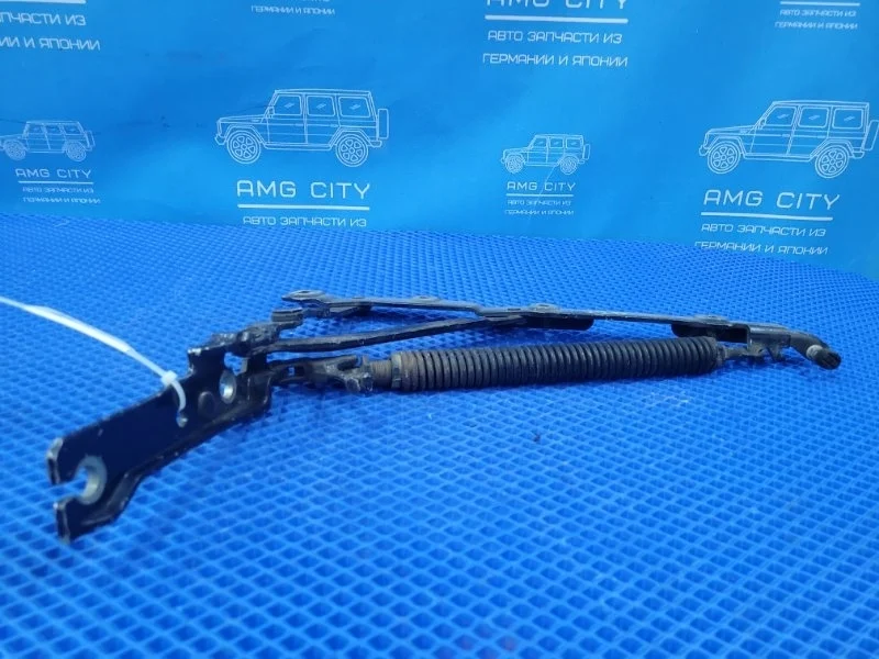 Петля крышки багажника Mercedes-Benz S-Class 2003 A2207501087 W220 M275950, задняя правая