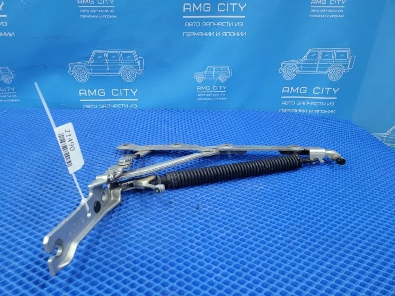 Петля крышки багажника Mercedes-Benz S-Class 2003 A2207501087 W220 M275950, задняя правая