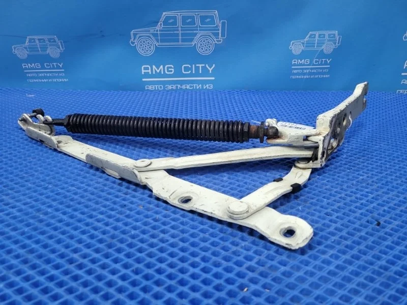 Петля крышки багажника Mercedes-Benz S-Class 2003 A2207500987 W220 M275950, задняя левая