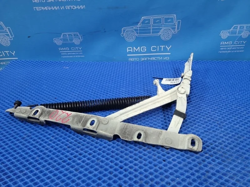 Петля крышки багажника Mercedes-Benz S-Class 2000 A2207500887 W220 M112, задняя правая