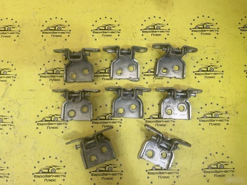 Петли дверей Renault Duster 804207876R HS