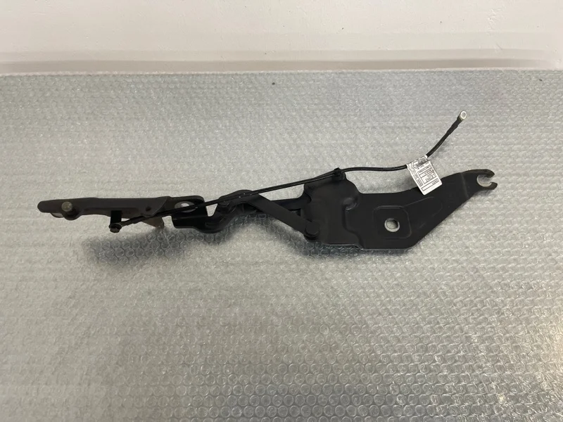 Петля капота Bmw X5 2011 41007198618 E70 N63B44A, правая