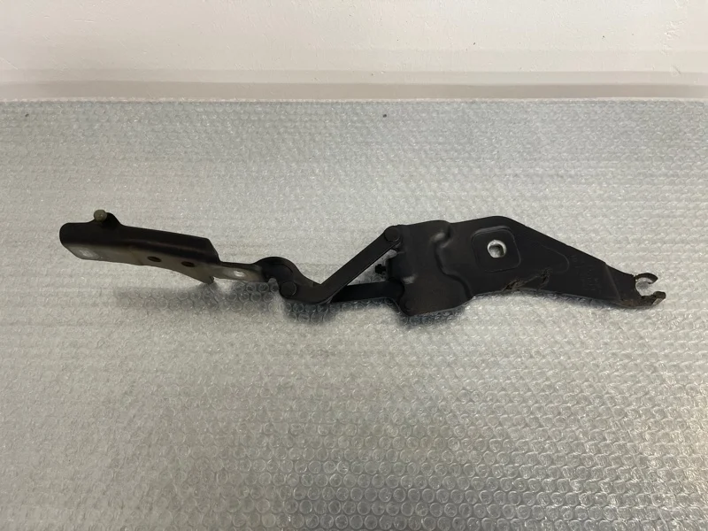 Петля капота Bmw X5 2011 41007198617 E70 N63B44A, левая