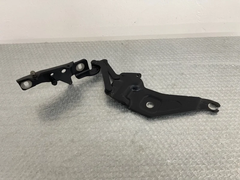 Петля капота Bmw X5 2008 41007198618 E70 N62B48, правая