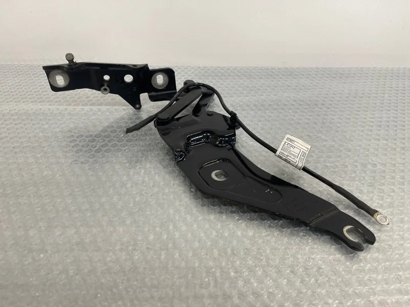 Петля капота Bmw X5 2012 41007198618 E70 N55B30, правая