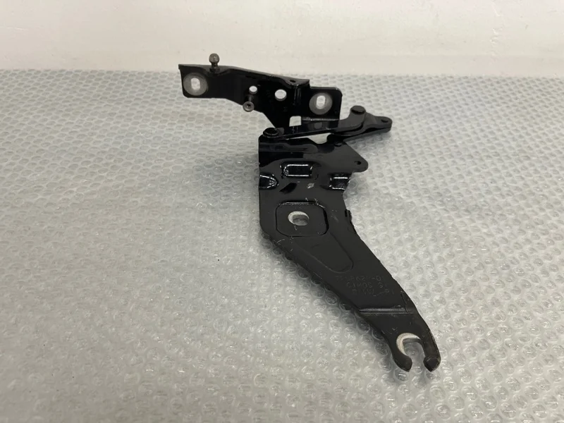 Петля капота Bmw X5 2012 41007198618 E70 N55B30, правая