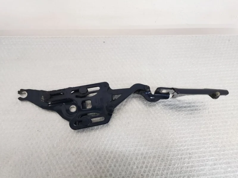 Петля капота Bmw X5 2012 41007198617 E70 N55B30, левая