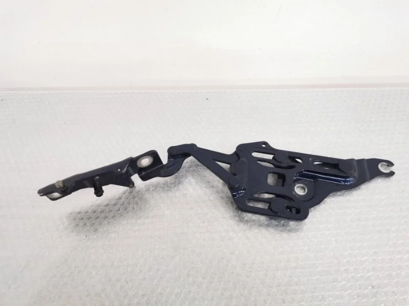 Петля капота Bmw X5 2012 41007198618 E70 N55B30, правая