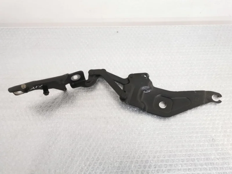 Петля капота Bmw X5 2011 41007198618 E70 N55B30, правая