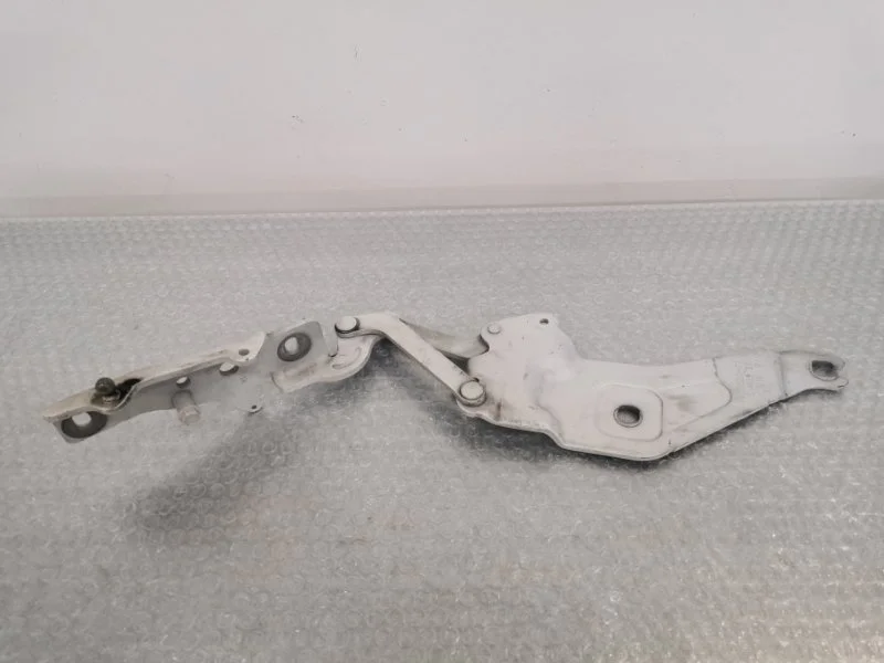 Петля капота Bmw X5 2011 41007198618 E70 N55B30, правая